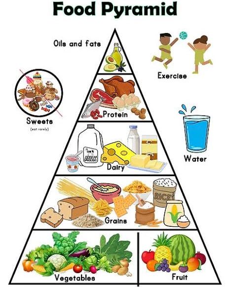 You are currently viewing “You are What You Eat”